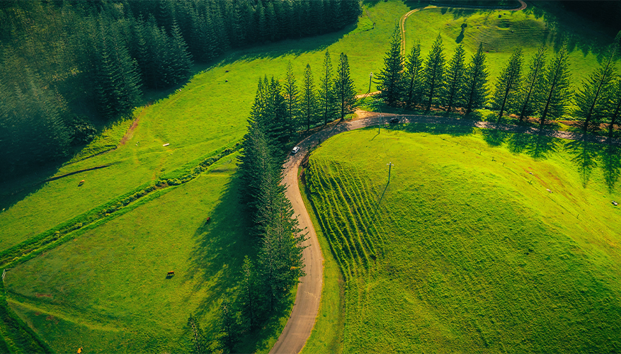 Scenic Road in Norfolk Island